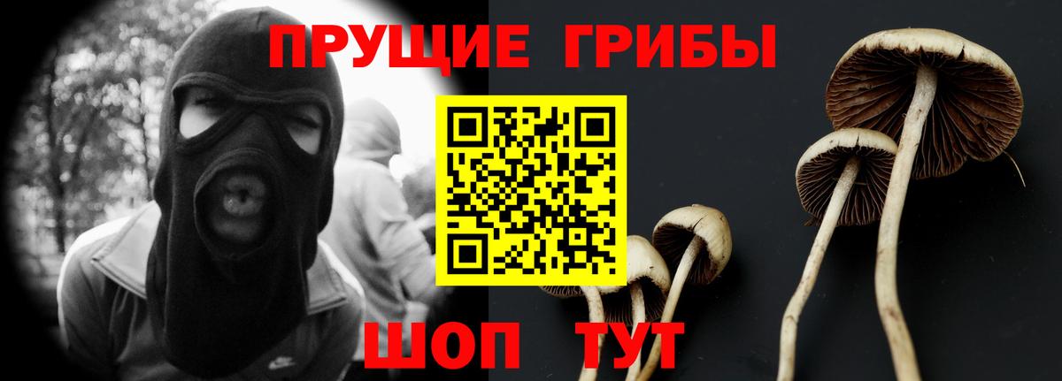 Белово  Галлюциногенные грибы мицелий  Галлюциногенные грибы ЛСД  Вход с VPN 